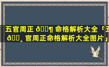 五官周正 🐶 命格解析大全「五 🕸 官周正命格解析大全图片」